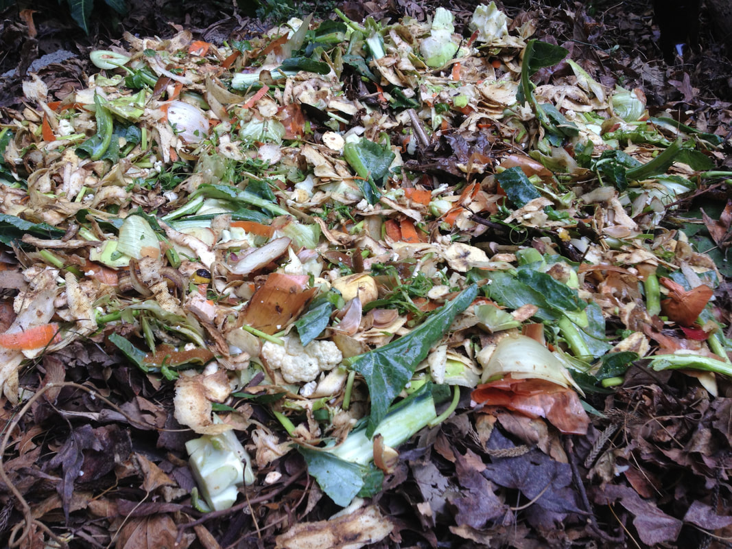 使用校園裡收集來的落葉做成的熱堆肥